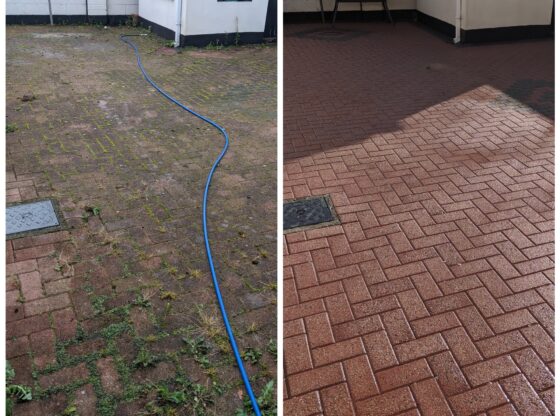 Gutter Cleaning
