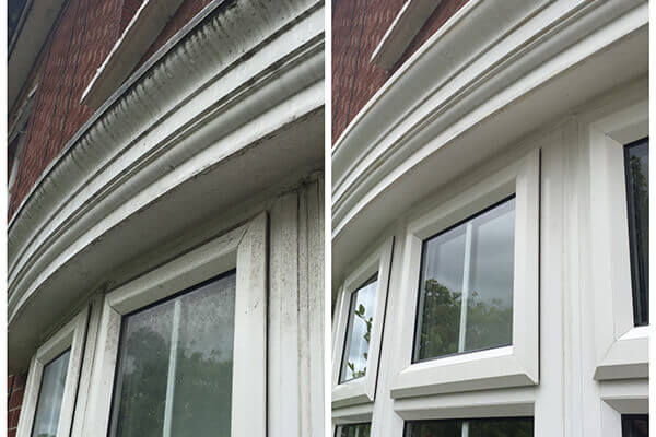 Get Window Cleaning done by ProClean