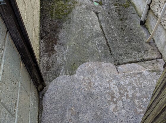 Gutter Cleaning