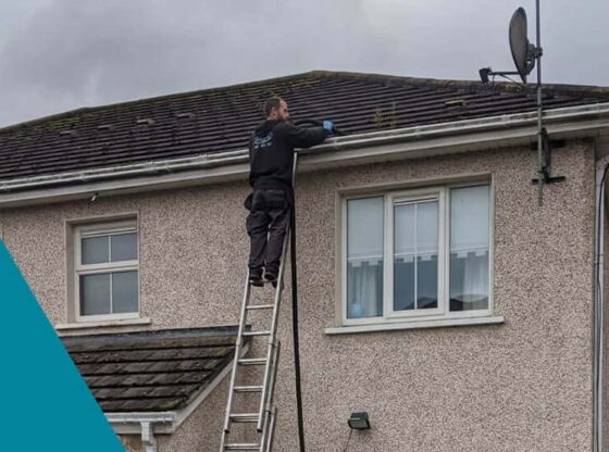 window_cleaning