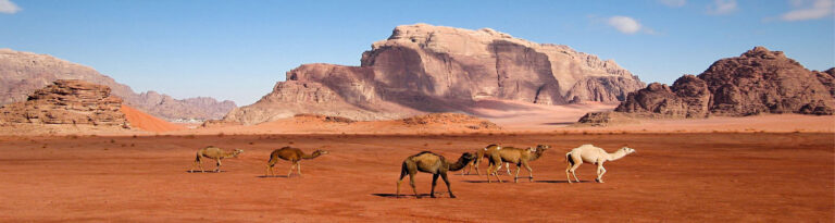 Go Jordan Travel and Tourism organizes the best Amman day tour
