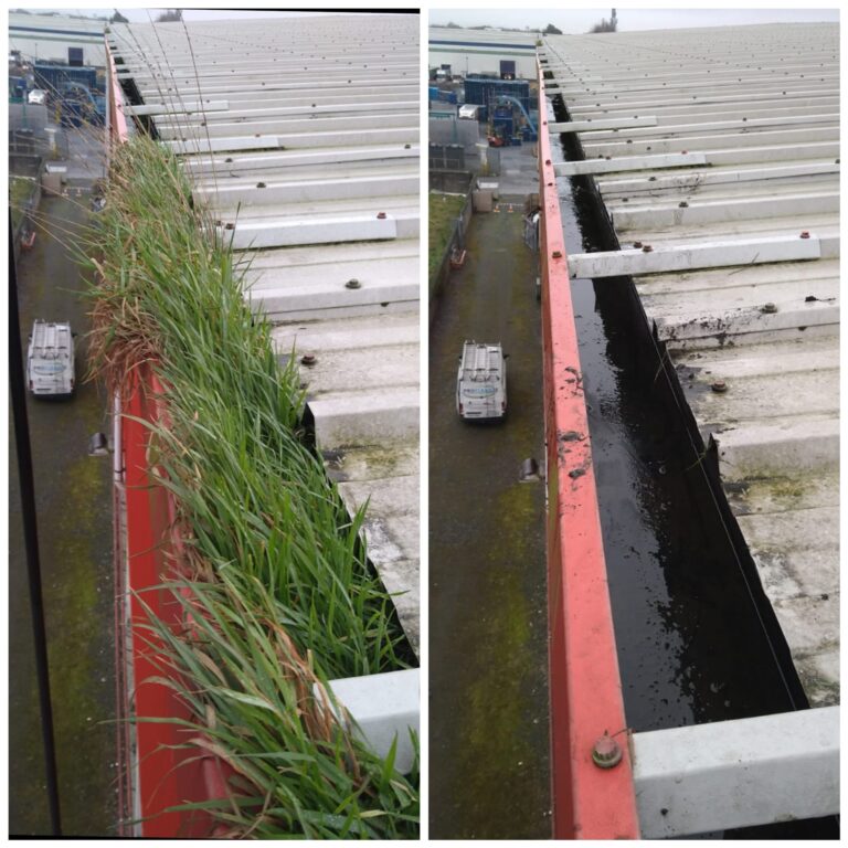gutter cleaning services Dublin