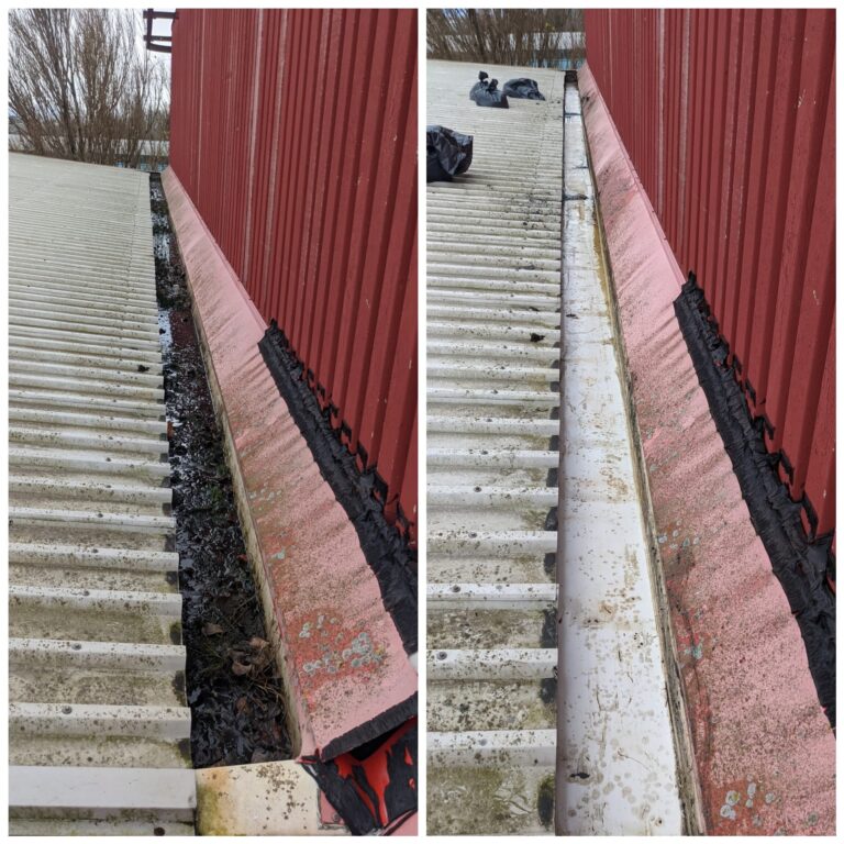 ProClean Sets New Standards in Professional Gutter Cleaning for Dublin Properties