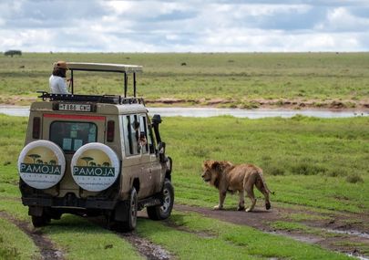safari tanzania