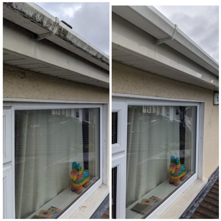 Proclean: Dublin’s Premier Option for Professional Commercial Window Cleaning