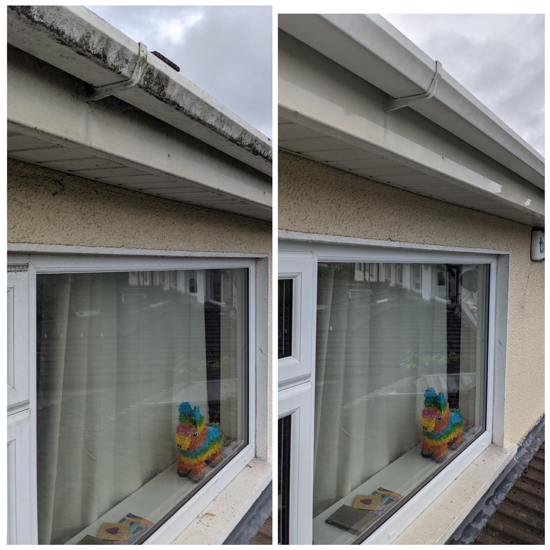 Proclean: Dublin’s Premier Option for Professional Commercial Window Cleaning