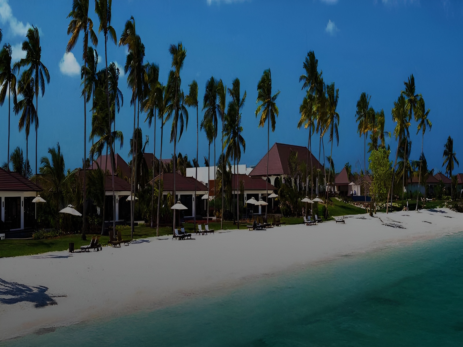 Chalema Tanzania Safaris Lets You Embark On The Safari & Beach Holiday Adventure Of A lifetime