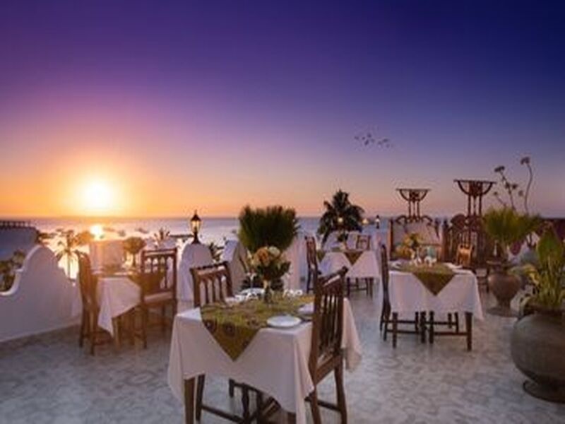 Embark on the Ultimate Safari Adventure: Why Choose Chalema Tanzania Safaris