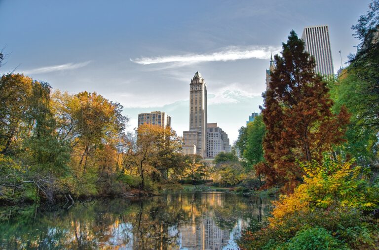 Central Park Carriage Tours