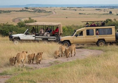 tazania safari