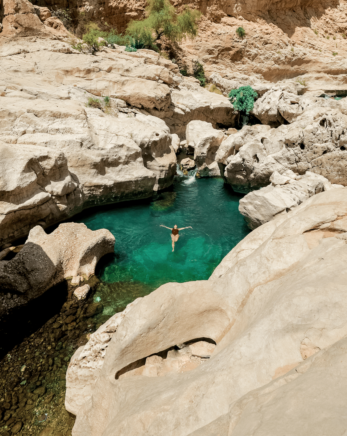 Experience the Beauty of Wadi Bani Khalid with Swimming and Traditional Omani Lunch