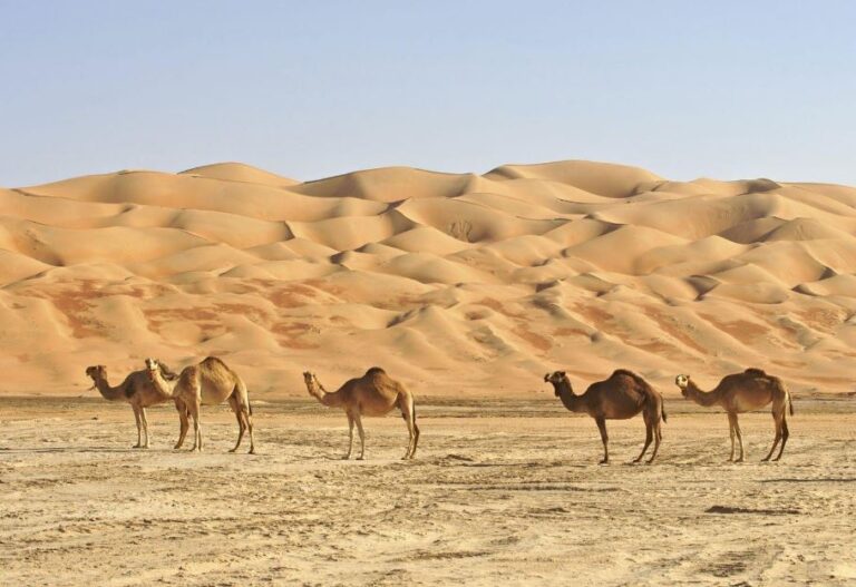 Oman Tour Operator Italiani: Scopri l’Oman con Viaggi Tours Oman Tour Operator Italiani: Scopri l’Oman con Viaggi Tours