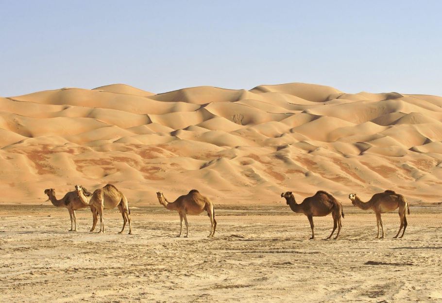 Oman Tour Operator Italiani: Scopri l’Oman con Viaggi Tours
