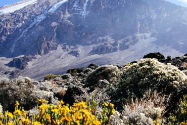 Immersive 8-Day Cultural Safari and Mount Kilimanjaro Hike Offers Unique Tanzanian Experience