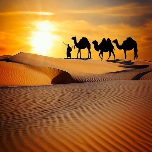 Voyage Inde Rajasthan