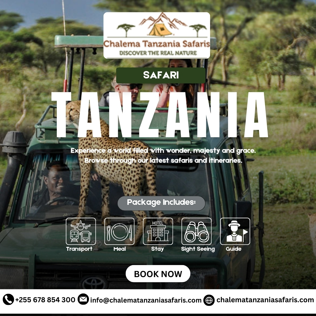 safari tanzania