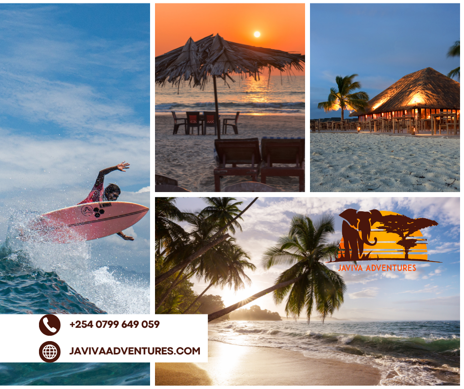Experience Unforgettable Diani Beach Safaris with Javiva Adventures – Tailored for Every Budget and Travel Style