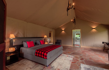 Luxury Safari Lodges