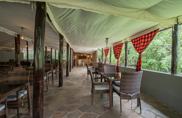 Immerse Yourself in Wild Luxury: Unparalleled Safari Elegance in Kenya’s Masai Mara