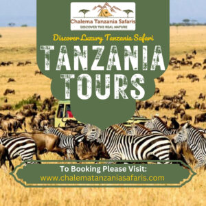 tanzania tour