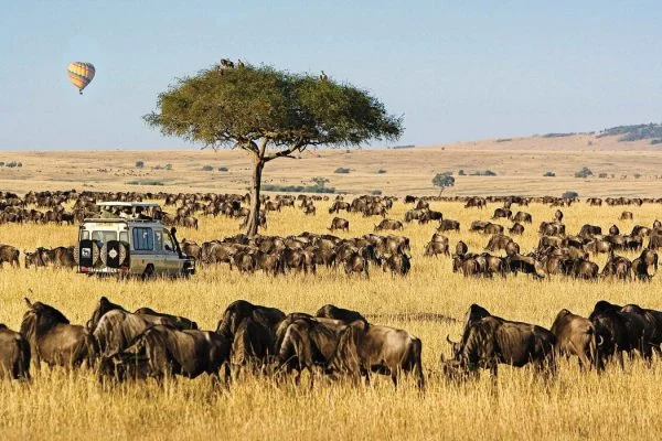 Safari Seekers Unveils New East Africa Safari & Coast Packages for 2025