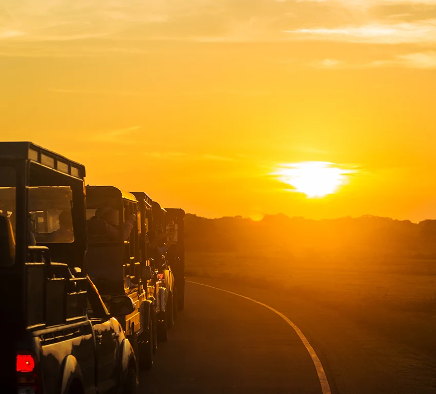 Africa Wildlife Safaris