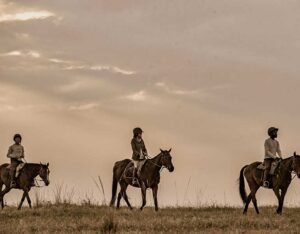 Horse Riding Safaris