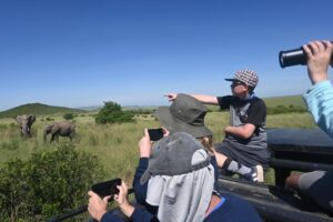 African Safari Tours