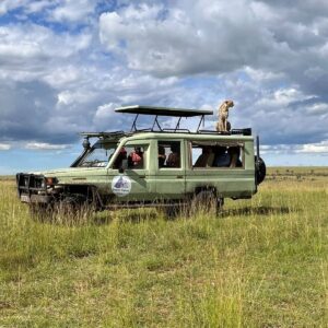 African Safari Tours