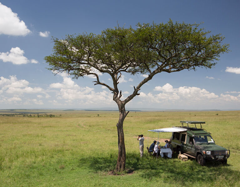 Kenya’s Masai Mara Sees Record Surge in Luxury Wildlife Tourism as Travelers Prioritize Authentic African Safari Tours