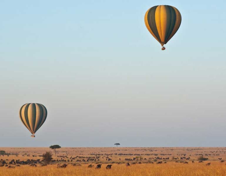Exclusive Hot Air Balloon Masai Mara Packages Launched for Unforgettable Safari Adventures