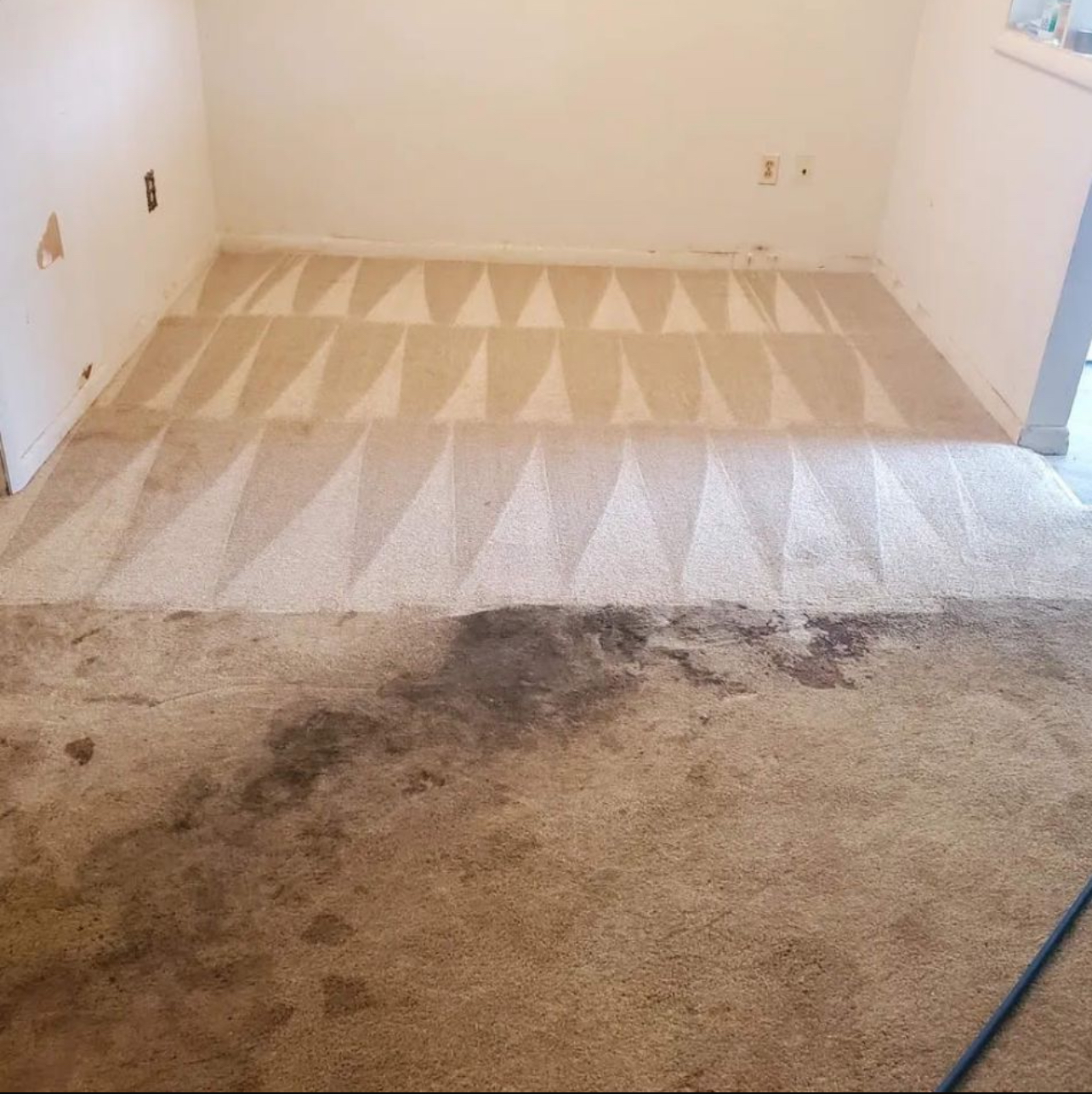 Steamly Pro Brings Healthier Homes to Boynton Beach with Expert Carpet Cleaning Service. Steamly Pro Brings Healthier Homes to Boynton Beach with Expert Carpet Cleaning Service.